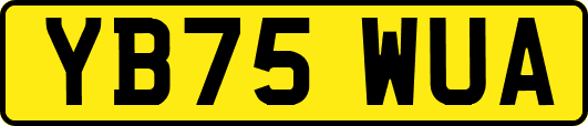YB75WUA