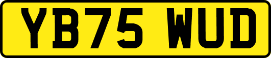 YB75WUD