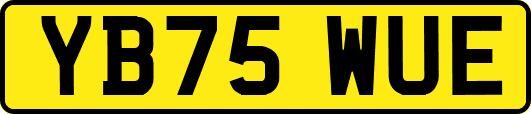 YB75WUE