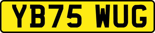 YB75WUG