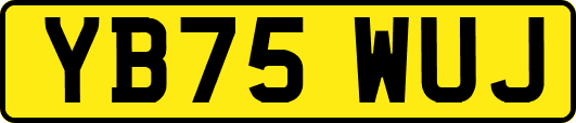 YB75WUJ