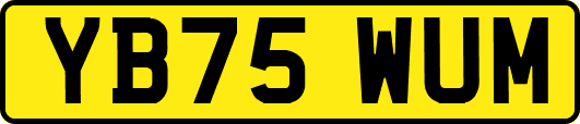 YB75WUM