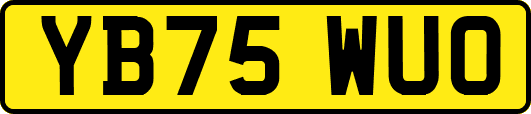 YB75WUO