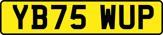 YB75WUP