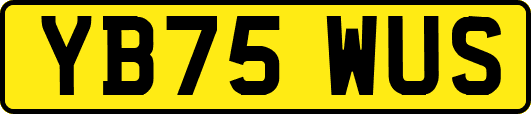 YB75WUS