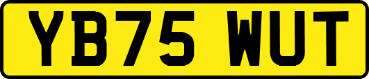 YB75WUT