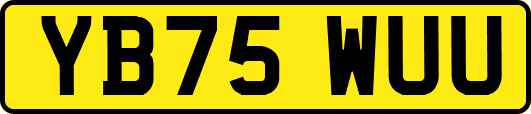 YB75WUU