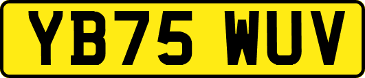 YB75WUV
