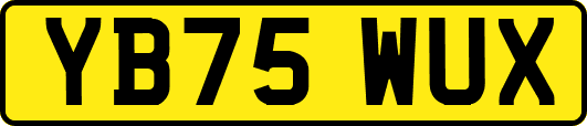 YB75WUX