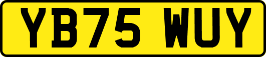 YB75WUY