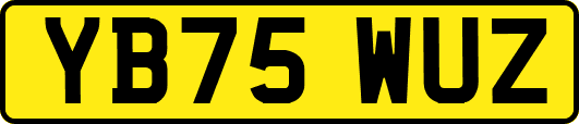 YB75WUZ