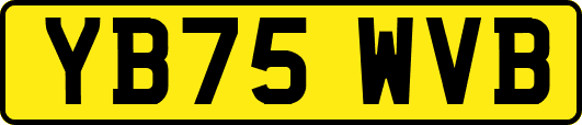 YB75WVB