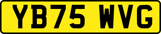 YB75WVG