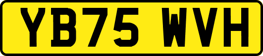 YB75WVH