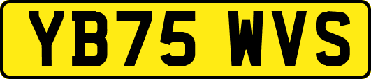 YB75WVS