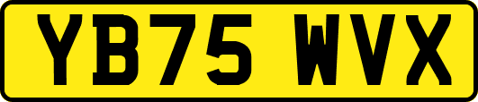 YB75WVX
