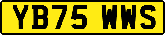 YB75WWS