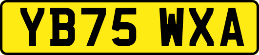 YB75WXA