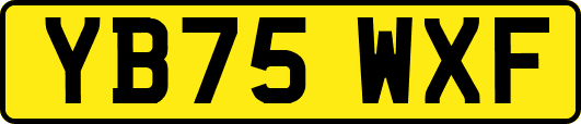 YB75WXF