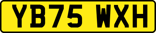 YB75WXH