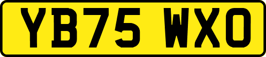 YB75WXO
