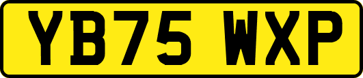 YB75WXP