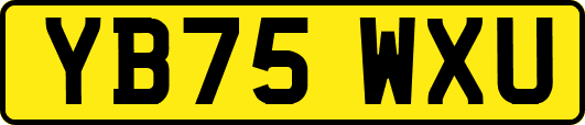 YB75WXU