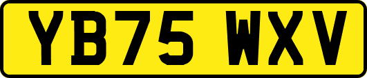 YB75WXV