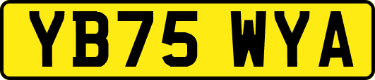 YB75WYA