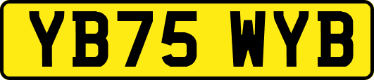 YB75WYB