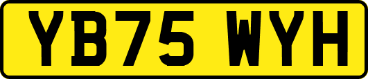 YB75WYH