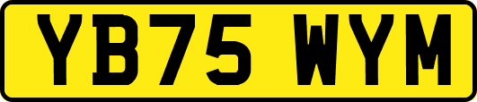 YB75WYM