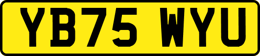 YB75WYU