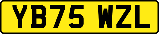 YB75WZL