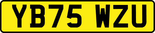YB75WZU