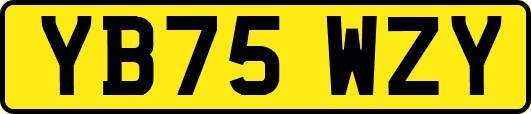 YB75WZY