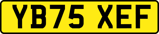YB75XEF