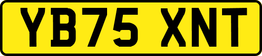 YB75XNT
