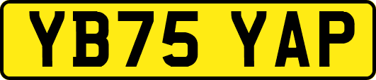 YB75YAP