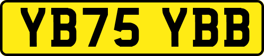 YB75YBB