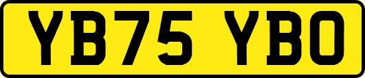 YB75YBO