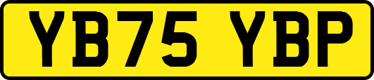 YB75YBP