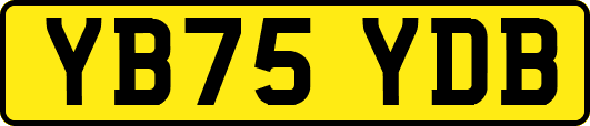 YB75YDB