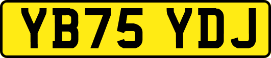 YB75YDJ