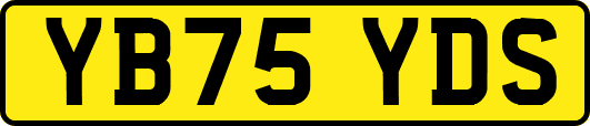 YB75YDS