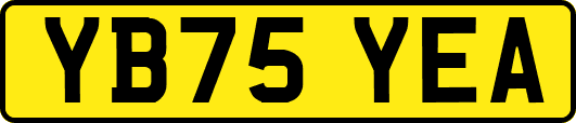 YB75YEA