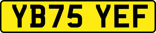 YB75YEF
