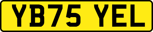 YB75YEL