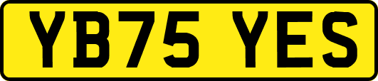 YB75YES