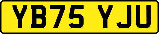 YB75YJU